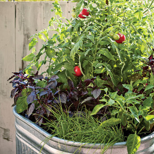 container-garden-0410-x