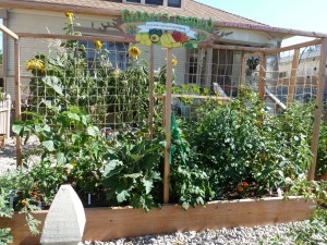 plan-ahead-vegetable-gardening-in-small-spaces